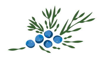 https://biom.dev.marmadot.com/wp-content/uploads/2023/06/kopiya-vetka-otdelno-1.png
