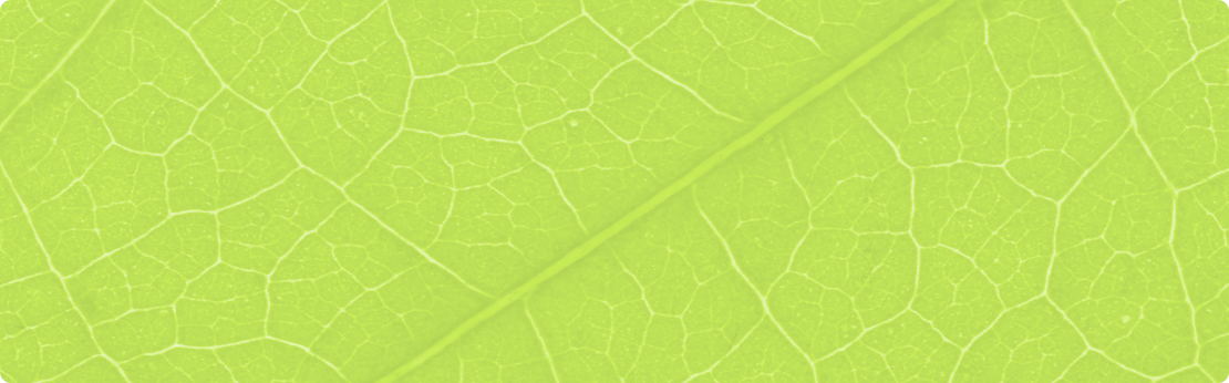 https://biom.dev.marmadot.com/wp-content/uploads/2023/06/mask-group-9.png